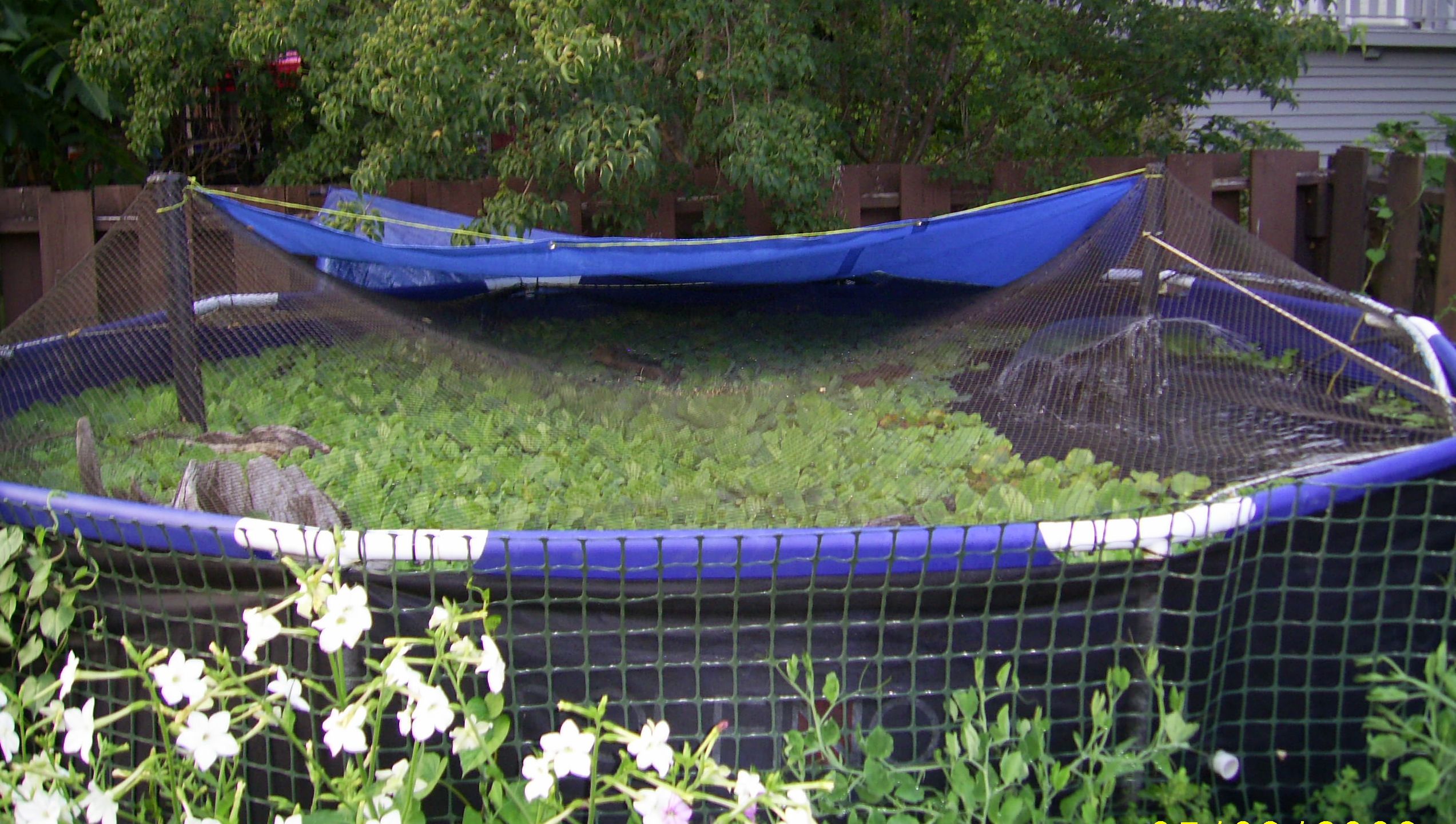Premium Varal Fish Alappuzha Backwater Delivery